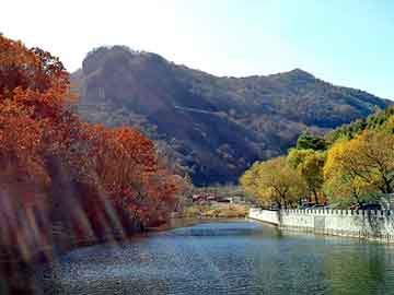 新澳天天开奖资料大全旅游团，最恐怖的鬼故事